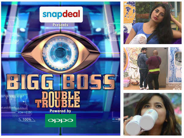 Exclusive: What! Rimi Sen, Ankti Gera, Roopal Tyagi To Miss Bigg Boss 9 Grand Finale!